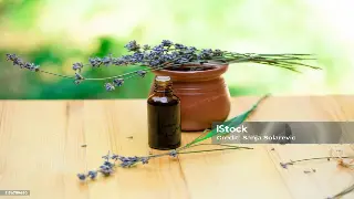 宁波按摩心得：告别僵硬，重塑活力，我的身心SPA奇遇记