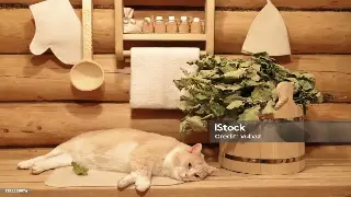 褪去疲惫，重塑活力：宁波按摩体验心得，不止放松那么简单