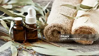 宁波按摩养生新趋势：告别盲目养生，个性化定制成王道？内行人告诉你真相！