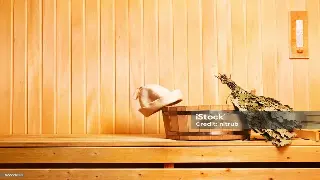 宁波按摩新手秘籍：几点开始你的养生之旅最恰当？