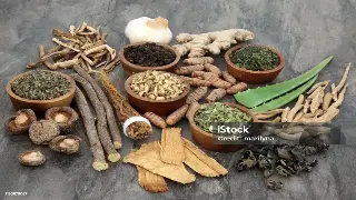 宁波SPA的独特魅力：解锁身心焕活的秘密花园 海报